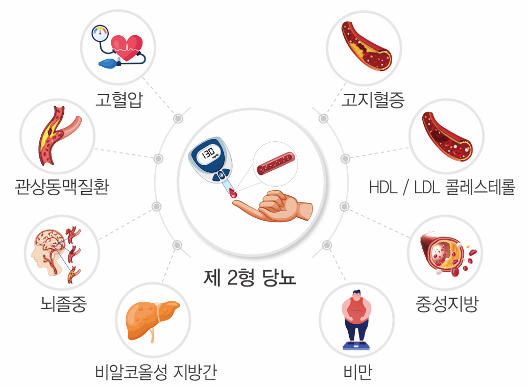 디멜투스 당뇨 그룹